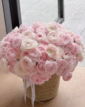 Bloom Ranunculus