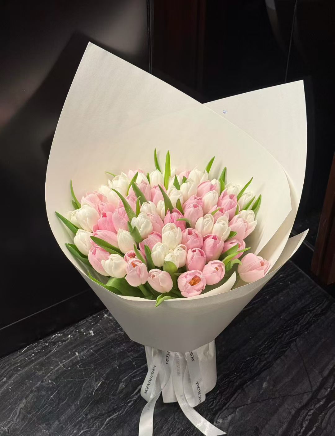 Tulip Season