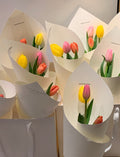 Rainbow Tulip